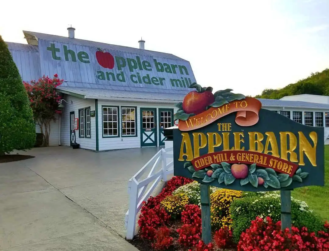 Cider Bar at the Apple Barn